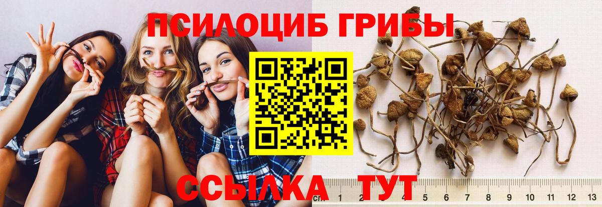 Вышний Волочёк  Псилоцибиновые грибы GOLDEN TEACHER  Вход с VPN  Галлюциногенные грибы мухоморы 